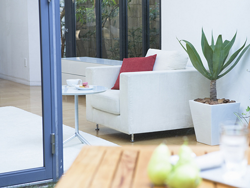 黑山羊種羊,黑山羊養殖,湖南黑山羊,黑山羊,黑山羊價格,江西黑山羊,貴州黑山羊,河南黑山羊,重慶黑山羊,湖北黑山羊,廣東黑山羊